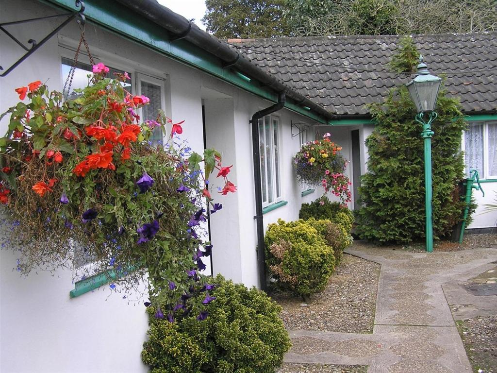 The Willow House Watton Esterno foto